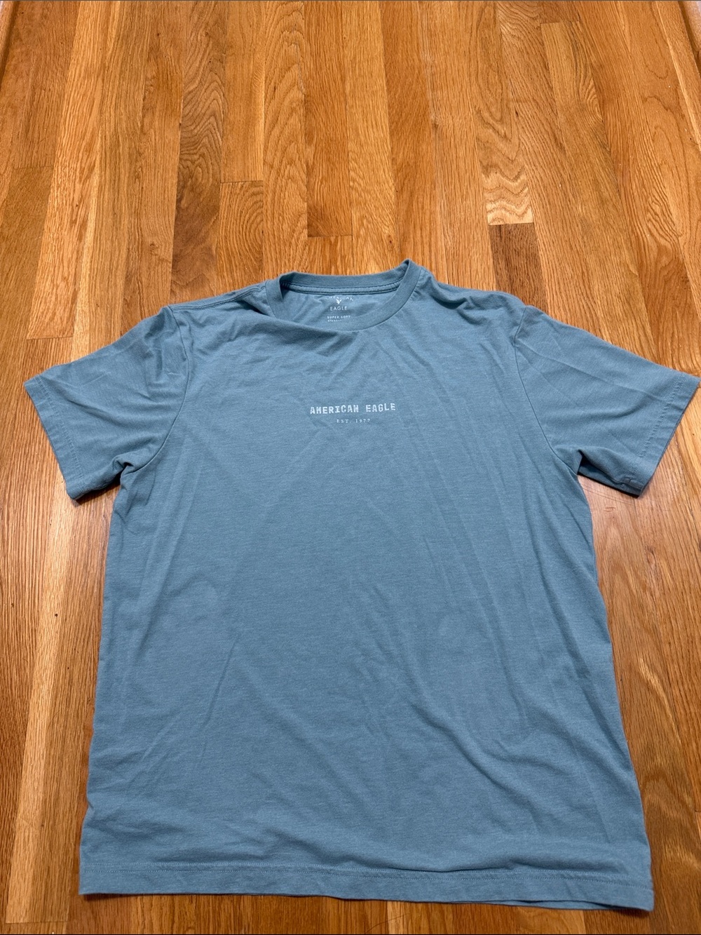 American Eagle Outfitters Men’s Dusty Blue Short Sleeve Logo Tee